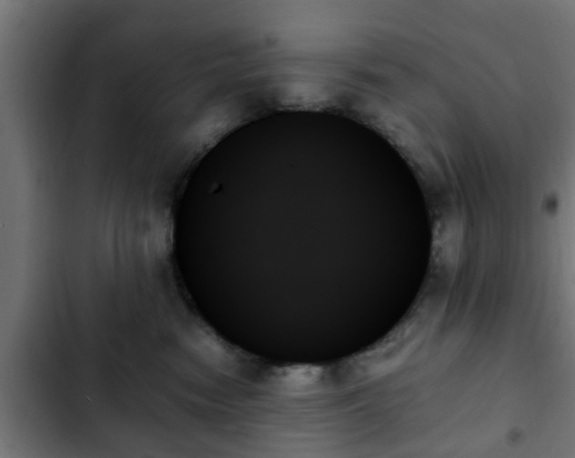 X0000103130474200808291320