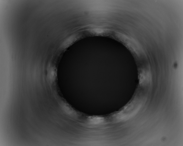 X0000103130476200808291320