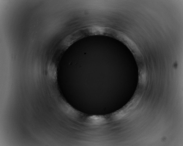 X0000103130477200808291320