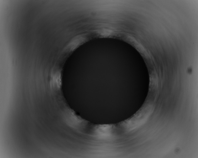 X0000103130479200808291320