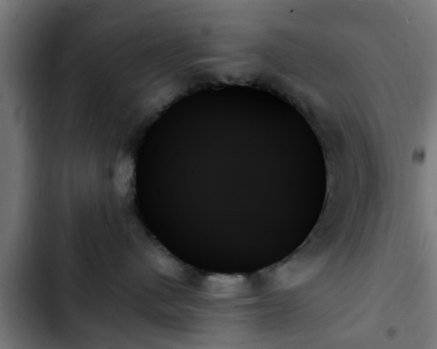 X0000103130480200808291320
