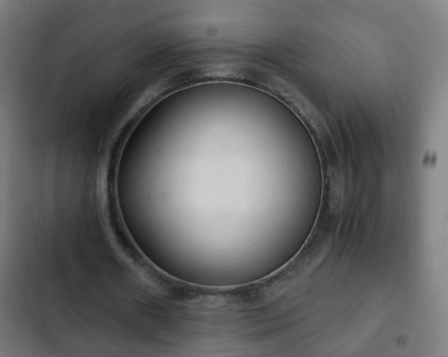 X0000103130482200808291319
