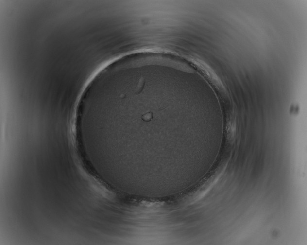 X0000103130484200808291319