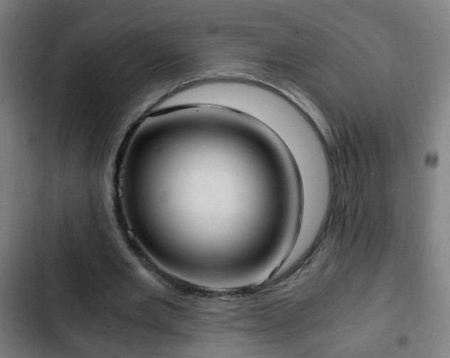 X0000103130485200808291319