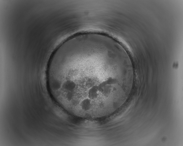 X0000103130487200808291319