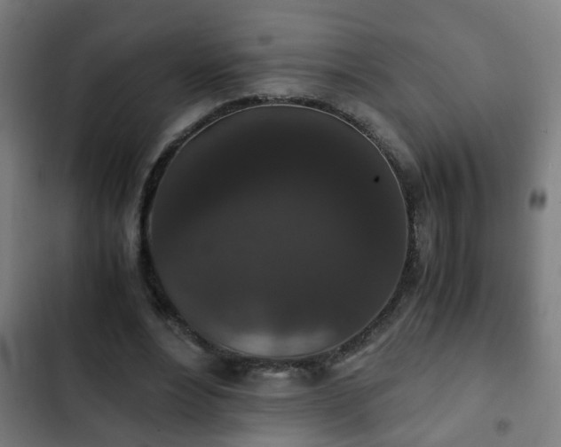 X0000103130488200808291319