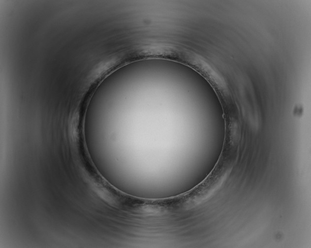 X0000103130490200808291319