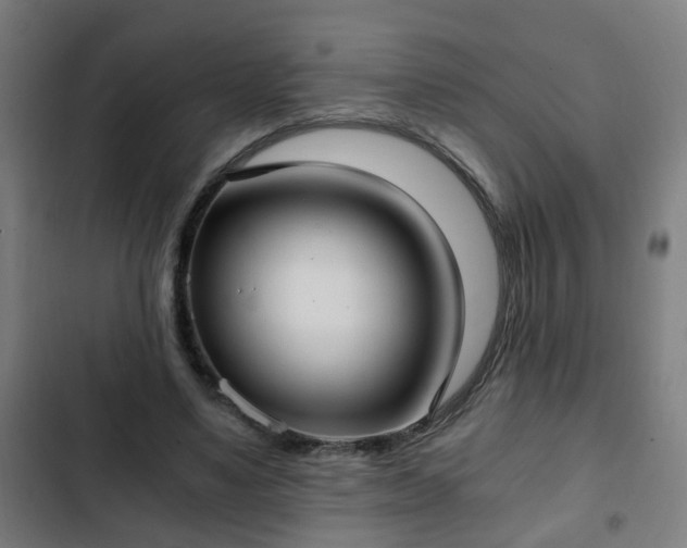 X0000103130491200808291319
