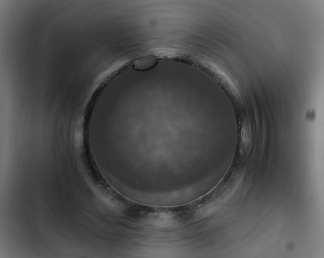 X0000103130492200808291319