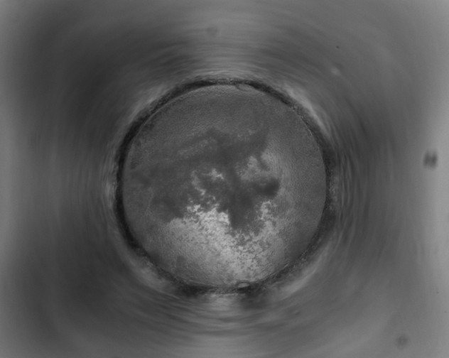 X0000103130495200808291319