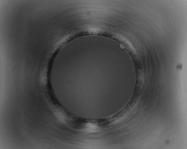 X0000103130496200808291319