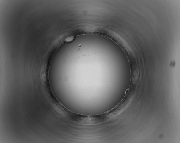 X0000103130497200808291319