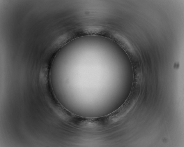 X0000103130498200808291319