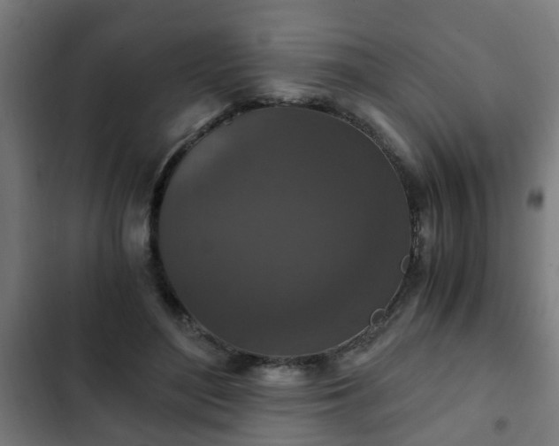 X0000103130500200808291319