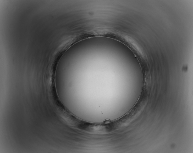 X0000103130501200808291319