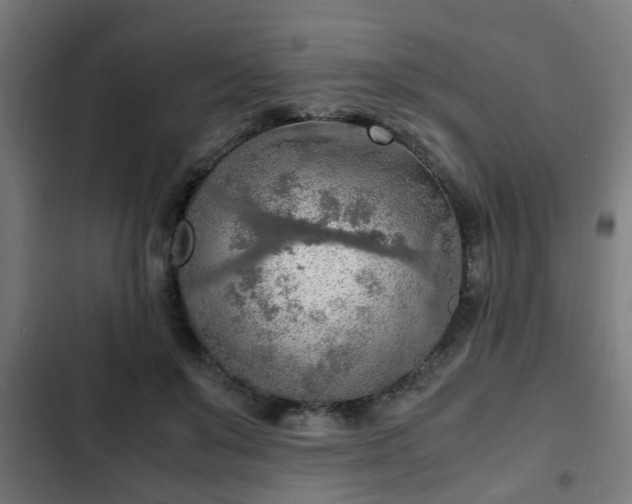X0000103130503200808291319