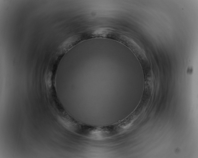 X0000103130504200808291319