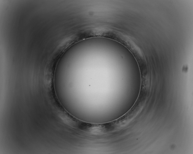 X0000103130505200808291319
