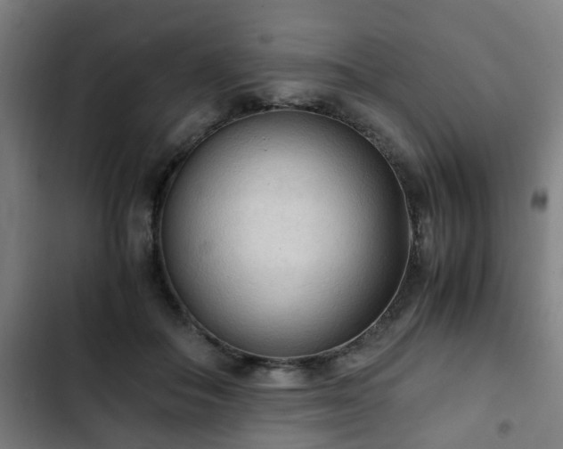 X0000103130506200808291319