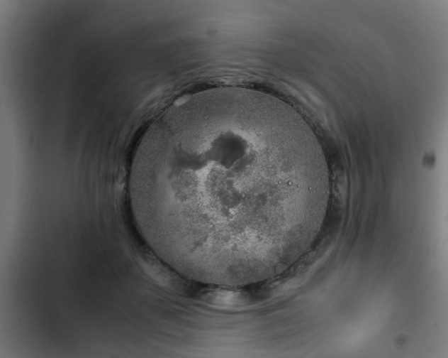 X0000103130507200808291319