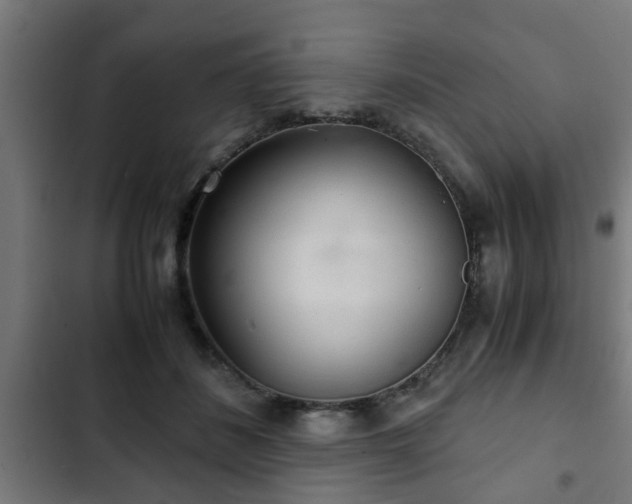 X0000103130508200808291319