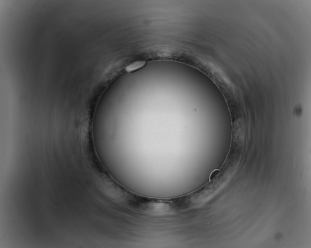 X0000103130509200808291319