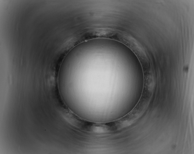 X0000103130510200808291319