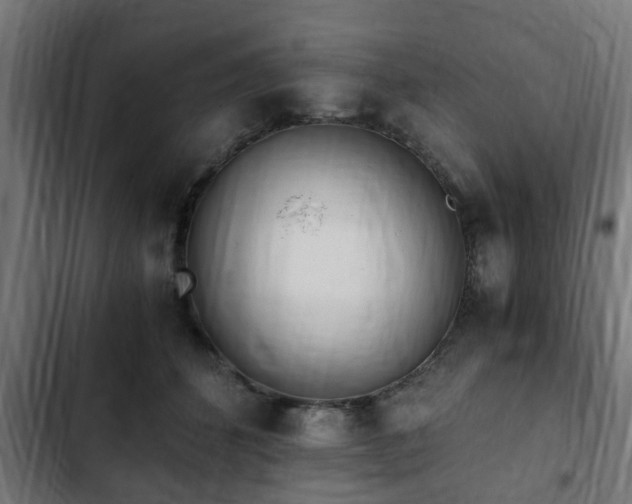 X0000103130512200808291319