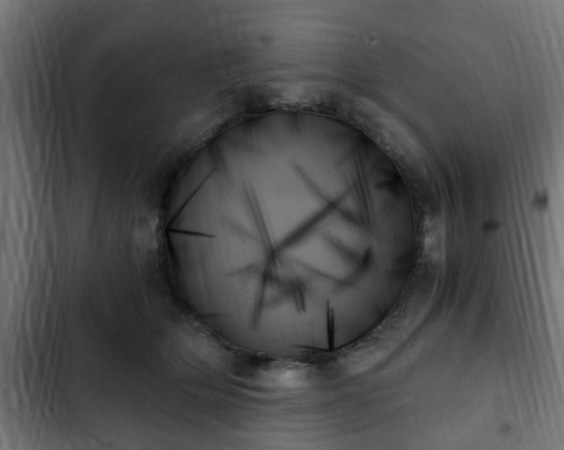 X0000103130514200808291319