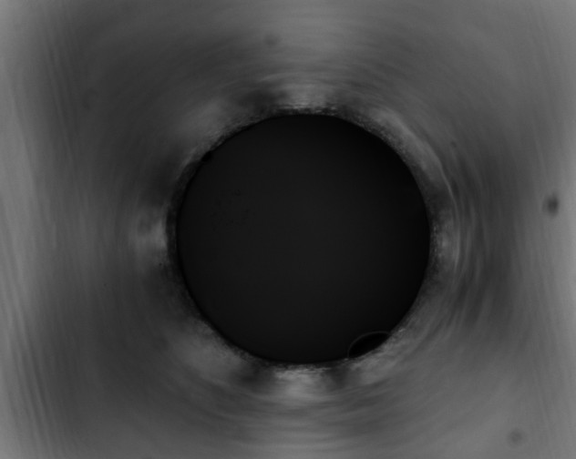 X0000103130516200808291319