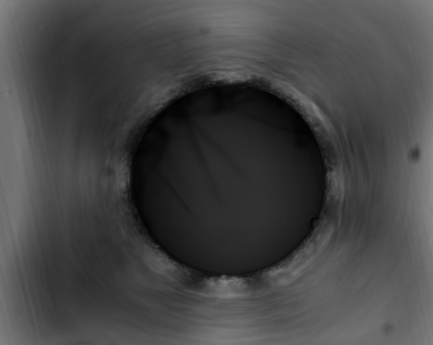 X0000103130517200808291319