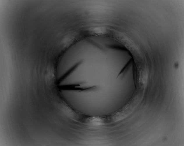 X0000103130518200808291319