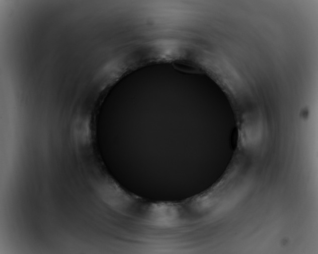 X0000103130520200808291319