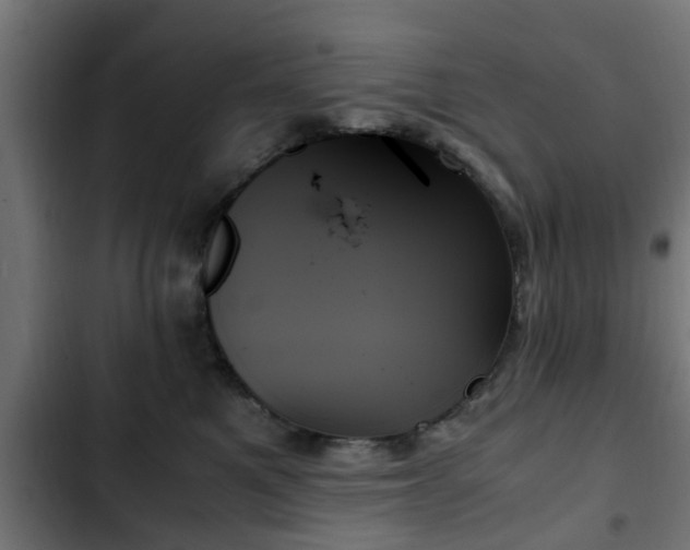 X0000103130521200808291319