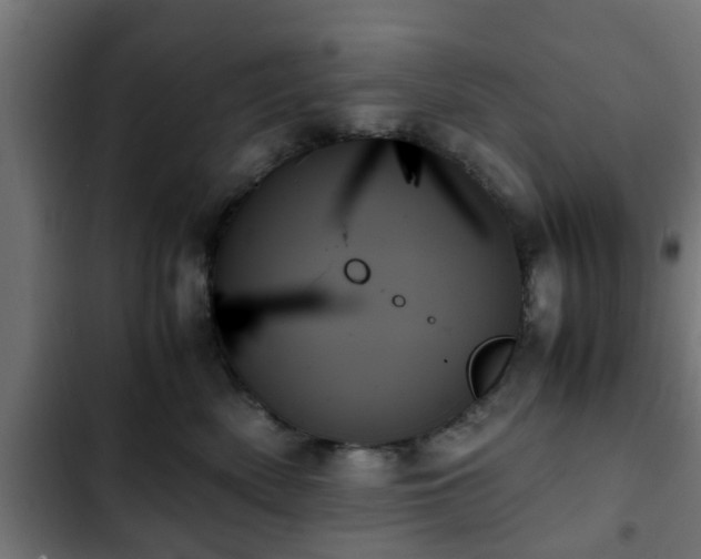 X0000103130522200808291319
