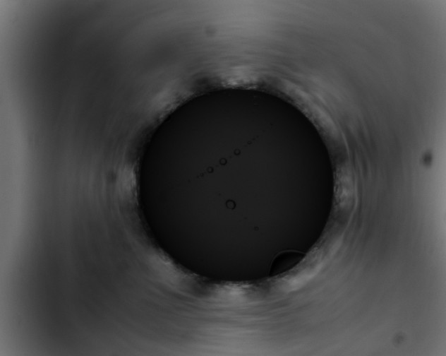 X0000103130523200808291319