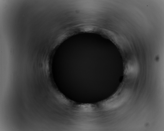 X0000103130524200808291319