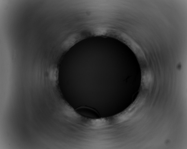 X0000103130525200808291319