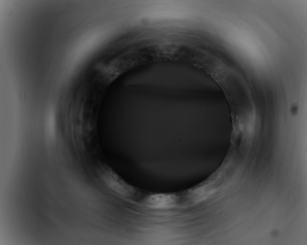 X0000103130526200808291319