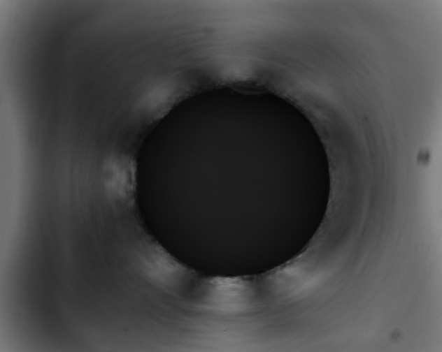 X0000103130528200808291319