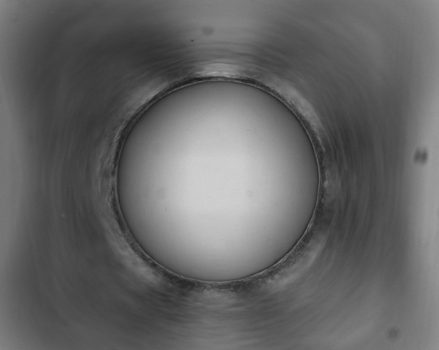 X0000103130529200808291318