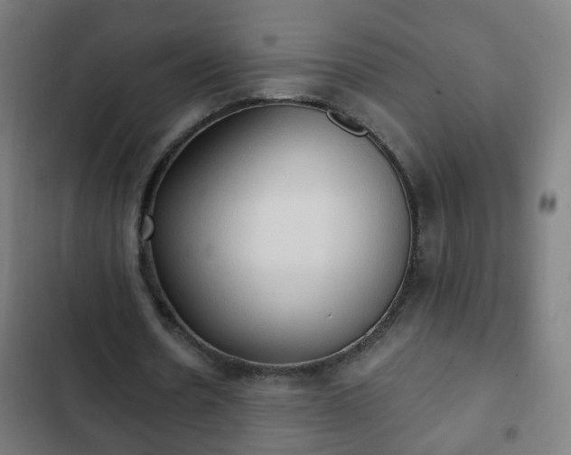 X0000103130530200808291318