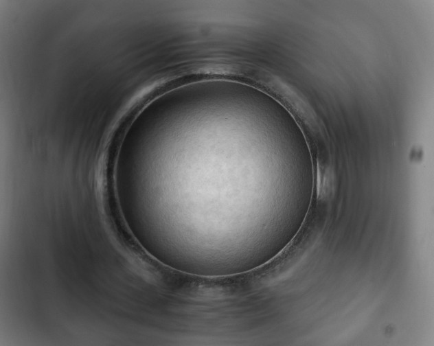 X0000103130531200808291318