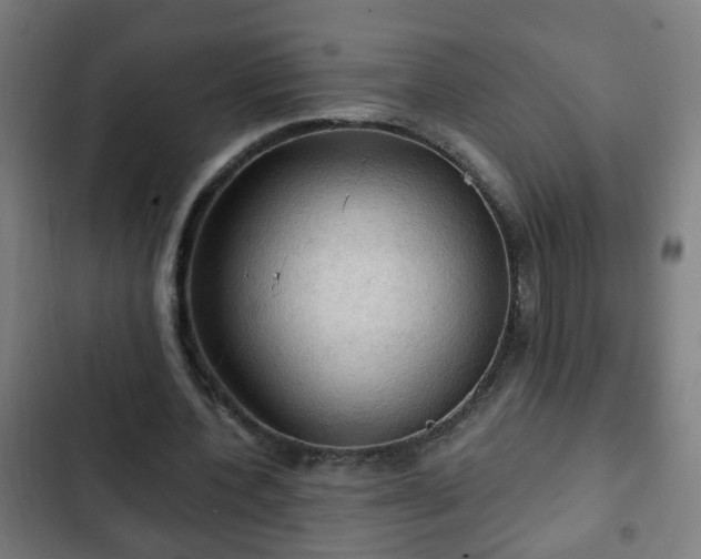 X0000103130532200808291318