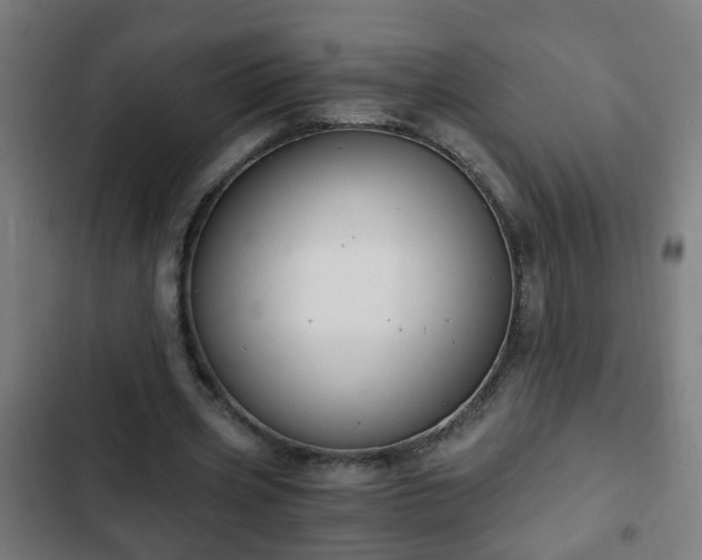 X0000103130533200808291318