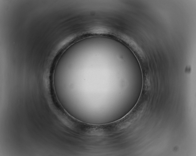 X0000103130535200808291318