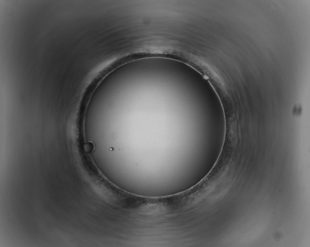 X0000103130536200808291318