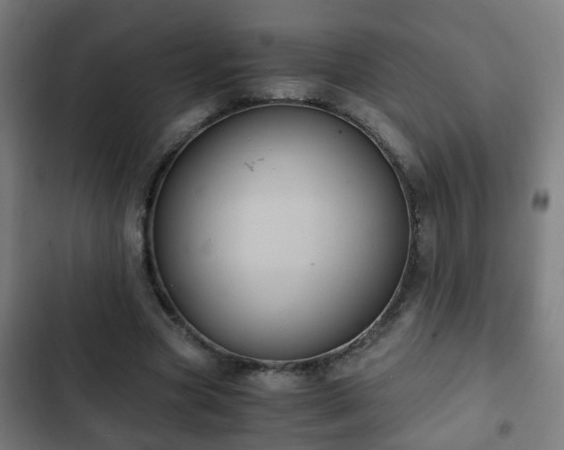 X0000103130537200808291318
