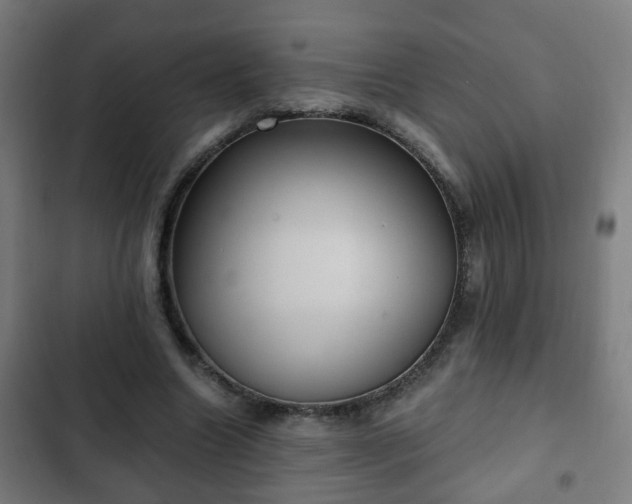X0000103130538200808291318