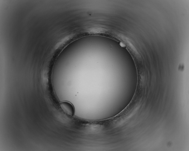 X0000103130539200808291318